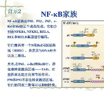 竞彩网上投注 -嶵壨my-嶴顤nF/?頖鰦	?