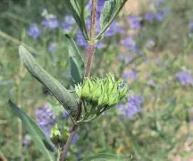 LOL竞猜电竞 -@??lB莸Kせ的简单介绍